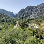 Bayrams Tree 2* Olympos