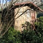 Bayrams Tree 2* Olympos