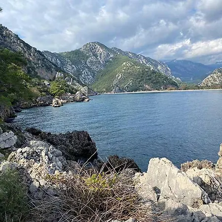Ξενοδοχείο Bayrams Tree Όλυμπος