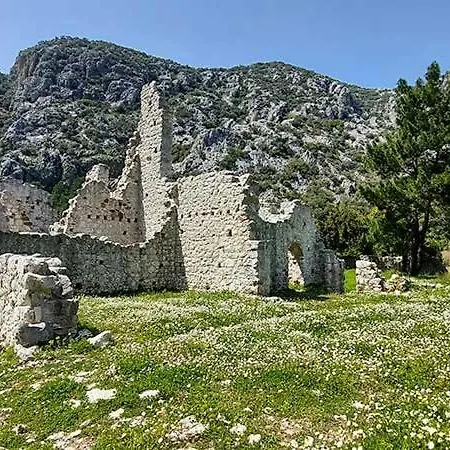 Ξενοδοχείο Bayrams Tree 2*