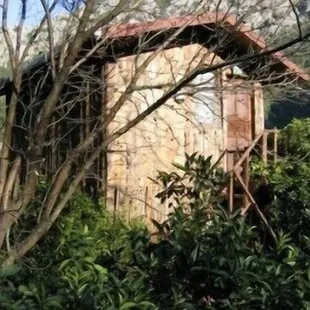 Bayrams Tree 2* Olympos