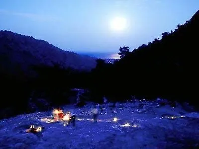 柏拉姆斯树之家酒店 2*