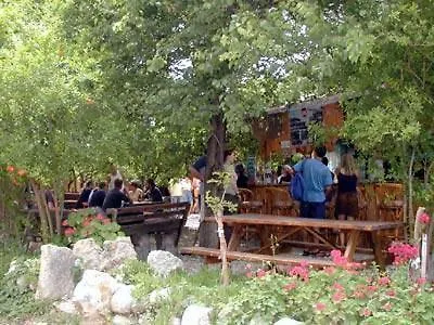 Bayrams Tree Hotel
