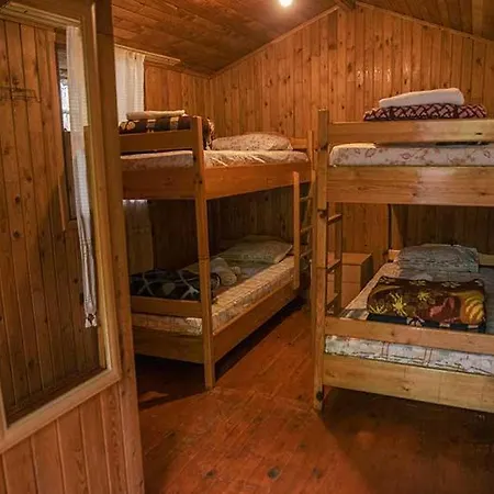 Bayrams Tree Hotel Olympos