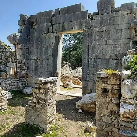 柏拉姆斯树之家酒店 奥林巴斯