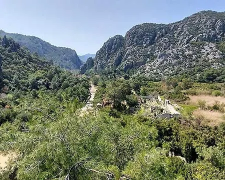Bayrams Tree 2* Olympos