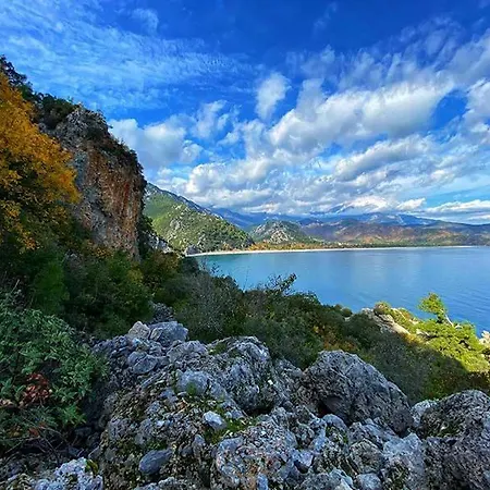 柏拉姆斯树之家酒店 酒店