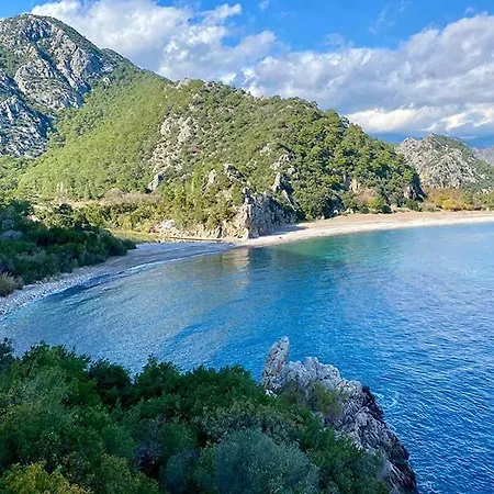 酒店 柏拉姆斯树之家酒店