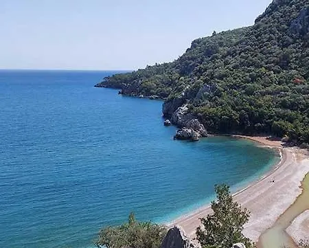 柏拉姆斯树之家酒店 2*