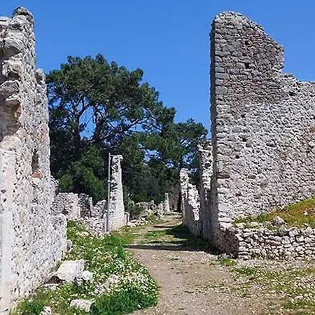 柏拉姆斯树之家酒店 2* 奥林巴斯