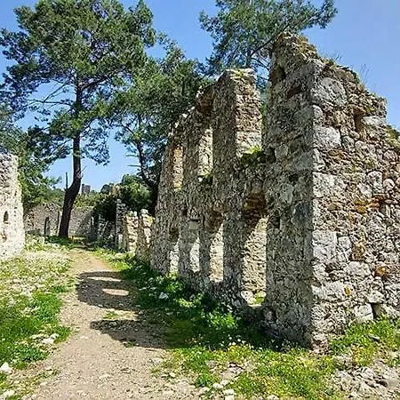 柏拉姆斯树之家酒店