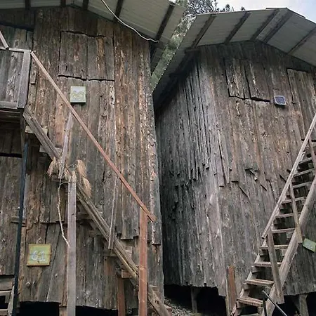 柏拉姆斯树之家酒店 酒店