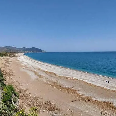 酒店 柏拉姆斯树之家酒店