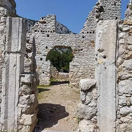 柏拉姆斯树之家酒店 酒店 2*