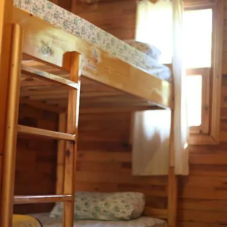 酒店 柏拉姆斯树之家酒店 2*