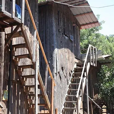 柏拉姆斯树之家酒店