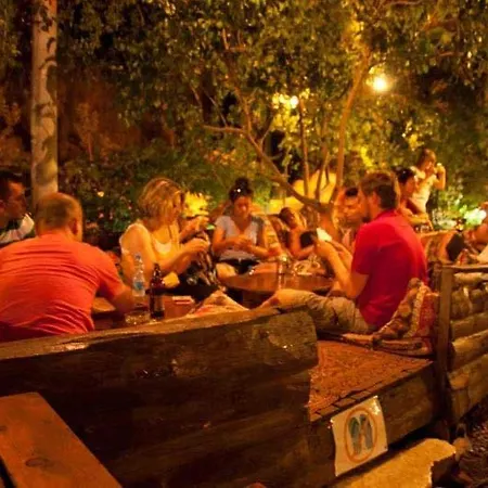 酒店 柏拉姆斯树之家酒店