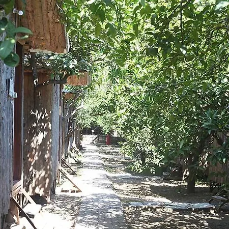 柏拉姆斯树之家酒店 酒店 2*