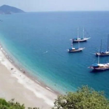 柏拉姆斯树之家酒店 奥林巴斯