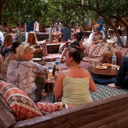 柏拉姆斯树之家酒店 2*