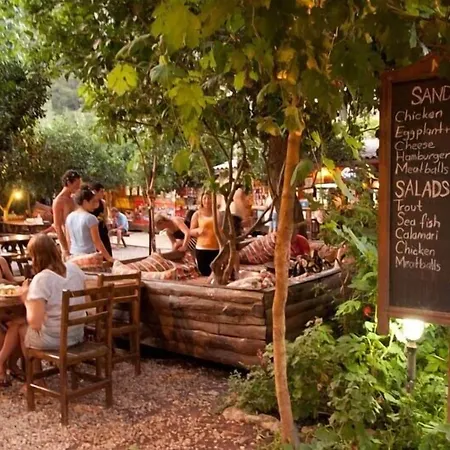 柏拉姆斯树之家酒店 酒店 2*