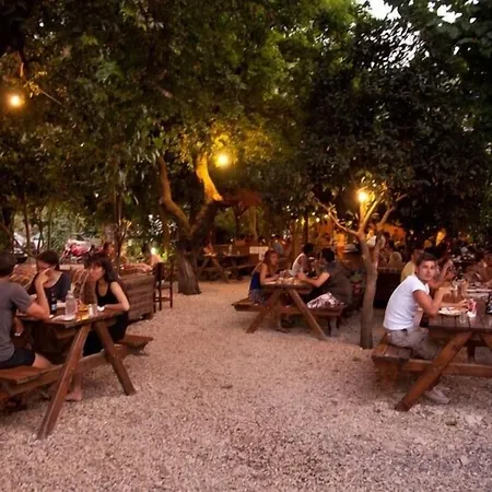 酒店 柏拉姆斯树之家酒店 2*