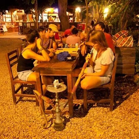 酒店 柏拉姆斯树之家酒店 奥林巴斯