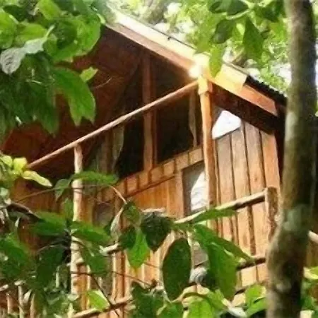Bayrams Tree Hotel 2*