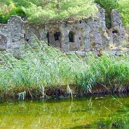 柏拉姆斯树之家酒店 酒店 2*