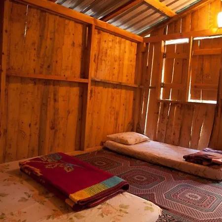 酒店 柏拉姆斯树之家酒店 2*