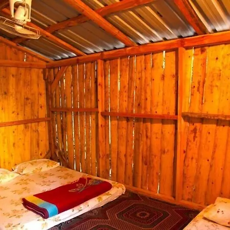 酒店 柏拉姆斯树之家酒店 奥林巴斯