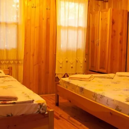 柏拉姆斯树之家酒店 2* 奥林巴斯