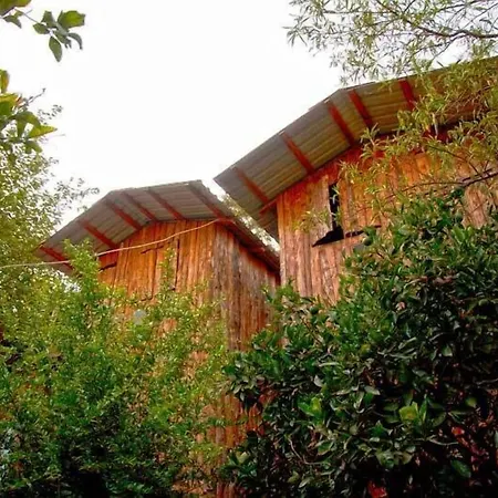 柏拉姆斯树之家酒店