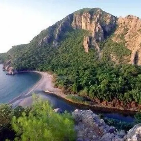 柏拉姆斯树之家酒店 酒店 2*