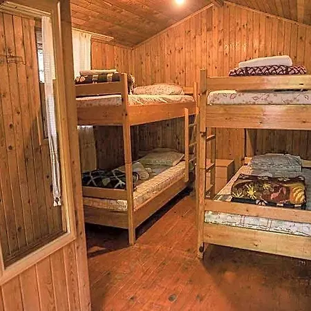 Bayrams Tree Hotel Olympos