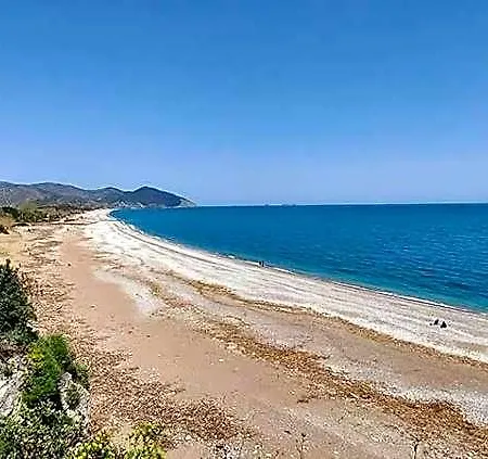 Hotel Bayrams Tree Olympos
