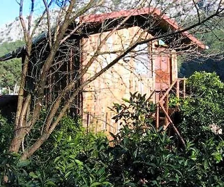 Bayrams Tree Hotel