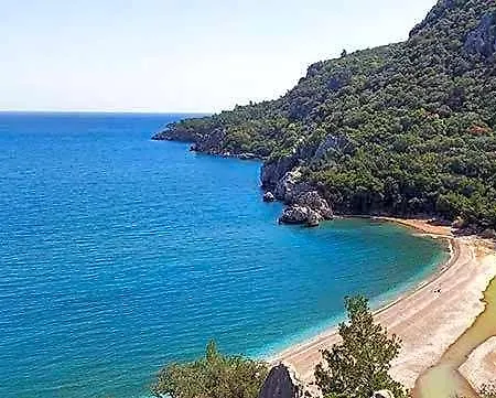 Bayrams Tree 2* Olympos