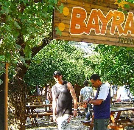 Bayrams Tree 2*