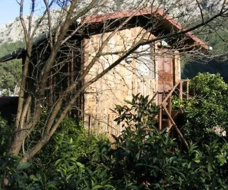 柏拉姆斯树之家酒店 2* 奥林巴斯