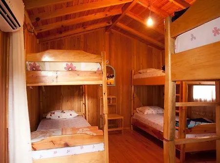 Bayrams Tree Hotel