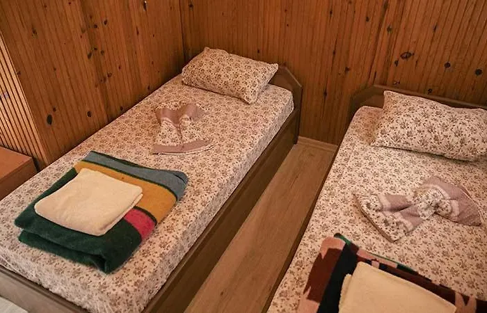 Bayrams Tree Olympos