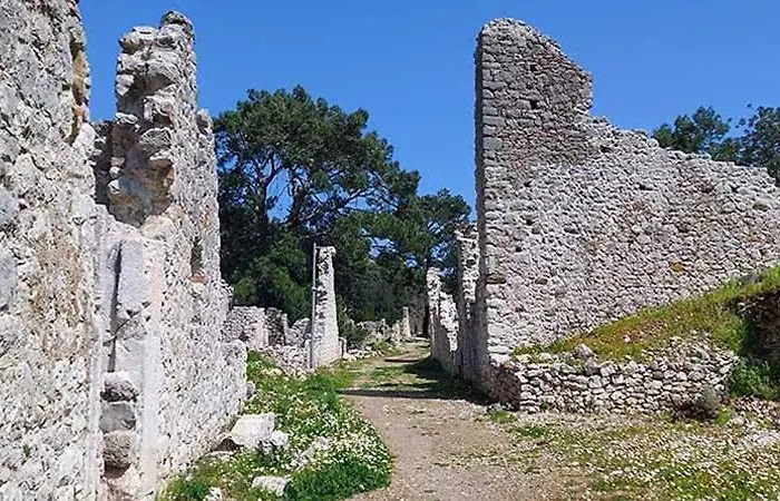 Bayrams Tree 2* Olympos