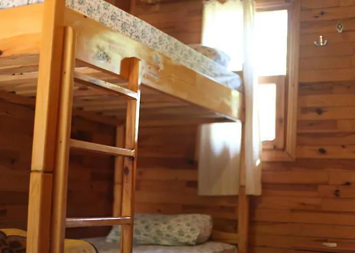 Hotel Bayrams Tree 2*