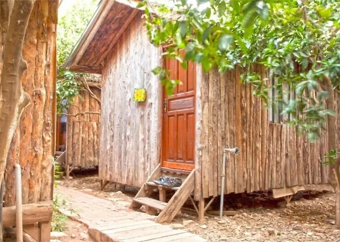 Hotel Bayrams Tree 2*