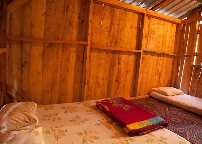 Bayrams Tree Olympos