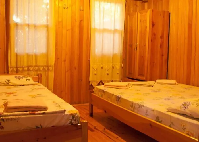 Bayrams Tree 2* Olympos