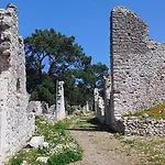 Bayrams Tree 2* Olympos
